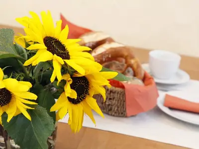 Ferienwohnung für 3 Personen (55 m²) in Hayingen 5/10