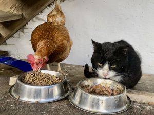 19405709-Ferienwohnung-5-Hebertsfelden-300x225-2