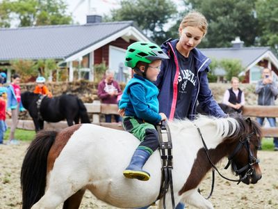 Reitrunde auf dem Pony Pippi Lotta