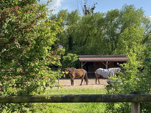 24053769-Ferienwohnung-2-Heeßen-300x225-4