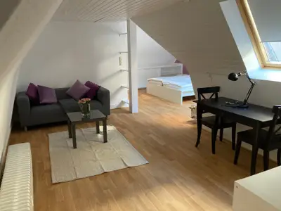 Ferienwohnung für 2 Personen (60 m²) in Heidelberg 4/10