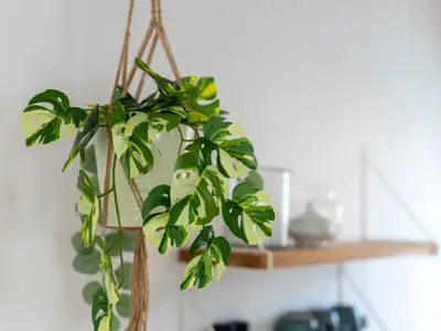 Ferienwohnung für 5 Personen (60 m²) in Heikendorf 7/10