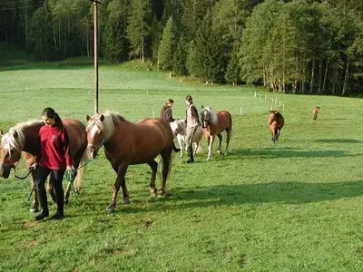 Ferienwohnung für 5 Personen (80 m²) in Heiligenblut 3/10