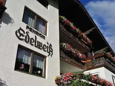 Edelweiß einmal anders