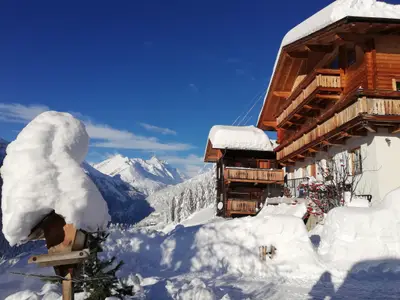 Winter Seppenbauer