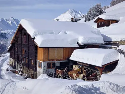 Auslauf Winter