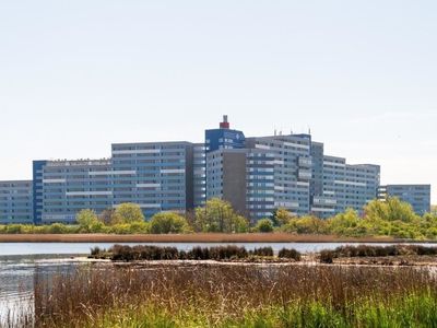 Ferienwohnung für 4 Personen (55 m²) in Heiligenhafen 1/10