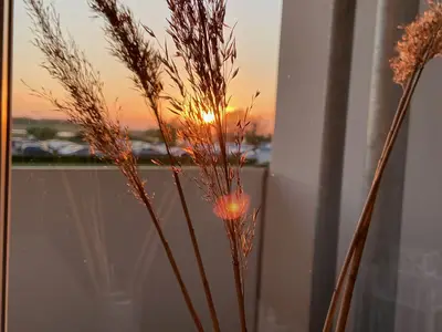 Ferienwohnung für 4 Personen (45 m²) in Heiligenhafen 1/10