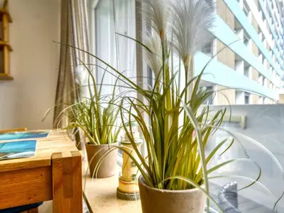 Ferienwohnung für 4 Personen (45 m²) in Heiligenhafen 9/10