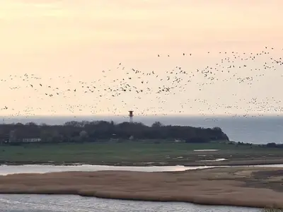 Ferienwohnung für 4 Personen (45 m²) in Heiligenhafen 2/10