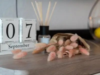 Ferienwohnung für 4 Personen (45 m²) in Heiligenhafen 8/10