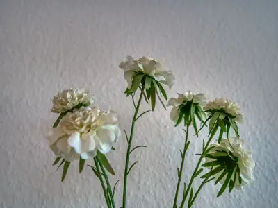 Ferienwohnung für 4 Personen (45 m²) in Heiligenhafen 8/10