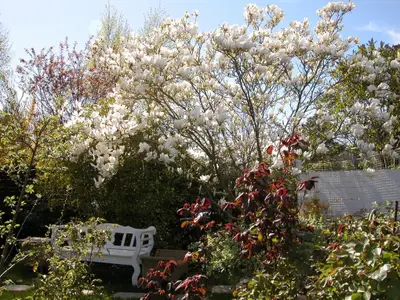 Ferienwohnung für 2 Personen (55 m²) in Heiligenhafen 5/10