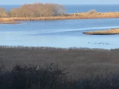 Ferienwohnung für 4 Personen (45 m²) in Heiligenhafen 2/10