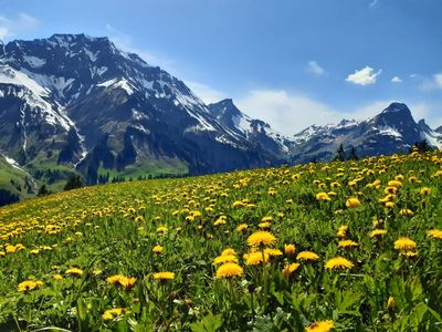 Unser Ausblick ein Traum