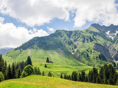 Blick zur Fell Alpe mit Hochberg