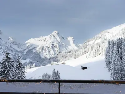 ViewWinter