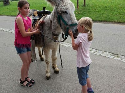 Ein Küsschen für Eselin "Biene"