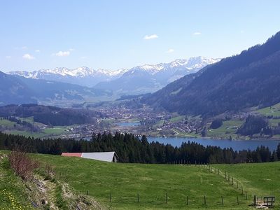 Blick auf den Alpsee