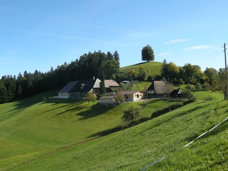 Ferienwohnung Geissbühler, Heimisbach