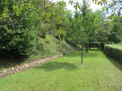 Blick in den Garten