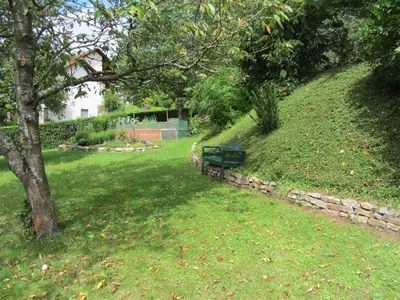 Blick in den Garten