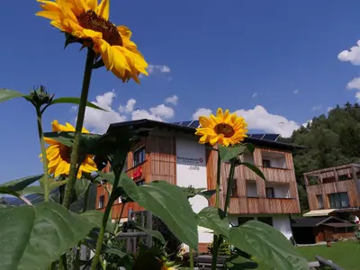 P1560083_feratel