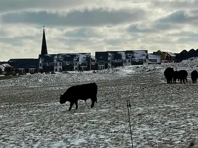 Ferienwohnung für 5 Personen (59 m²) in Helgoland 8/10
