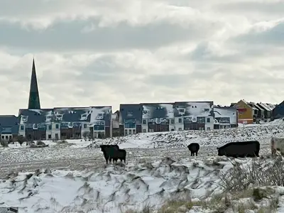 Ferienwohnung für 5 Personen (59 m²) in Helgoland 9/10