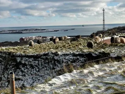 Ferienwohnung für 5 Personen (59 m²) in Helgoland 10/10