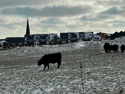 Ferienwohnung für 4 Personen (79 m²) in Helgoland 8/10