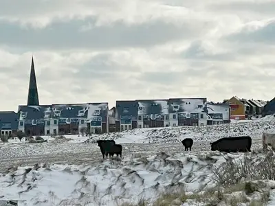 Ferienwohnung für 4 Personen (79 m²) in Helgoland 9/10