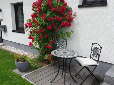 Bild 4 Hausvorgarten-1