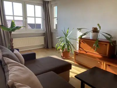 Wohnzimmer mit Essbereich