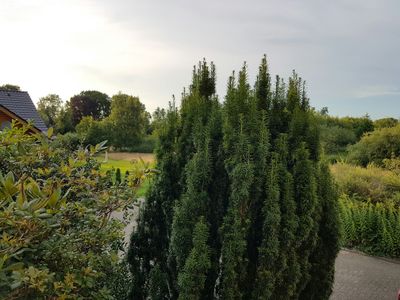 Blick vom Balkon über den Parkplatz