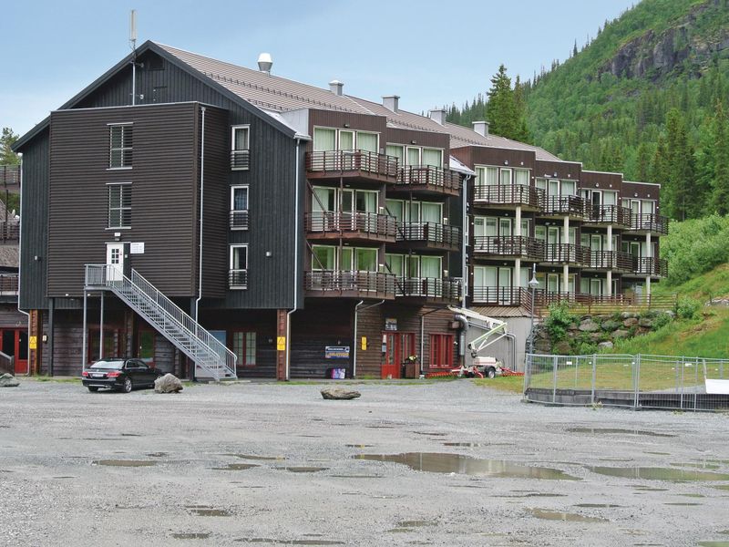 23721559-Ferienwohnung-6-Hemsedal-800x600-0