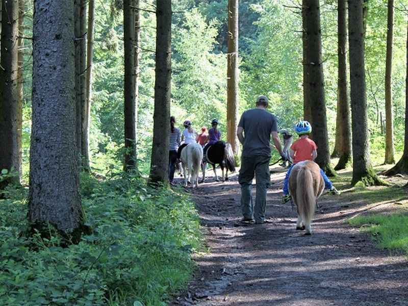 23826903-Ferienwohnung-5-Hengersberg-800x600-2