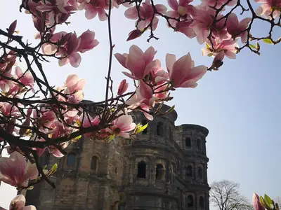Trier