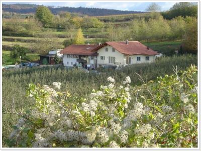 Blick zum Hof im Frühling