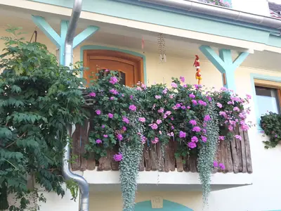 Ferienwohnung für 5 Personen (56 m²) in Herbolzheim 2/10