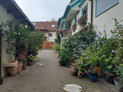 Ferienwohnung für 5 Personen (56 m²) in Herbolzheim 5/10