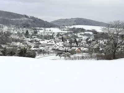 Ferienwohnung für 6 Personen (70 m²) in Herbolzheim 2/10