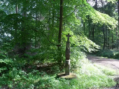 Umgebung von Herforst.