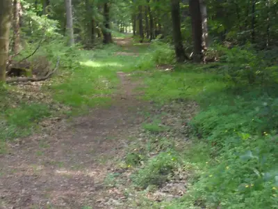 Umgebung von Herforst