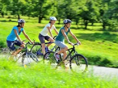 Ferienwohnung für 4 Personen (50 m²) in Lindau 4/10