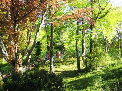 Ferienwohnung für 5 Personen (64 m²) in Heringsdorf (Seebad) 4/10