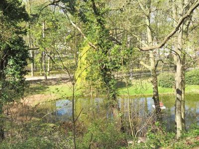 Ferienwohnung für 3 Personen (45 m²) in Heringsdorf (Seebad) 10/10