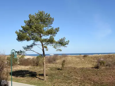 Ferienwohnung für 4 Personen (58 m²) in Heringsdorf (Seebad) 4/10