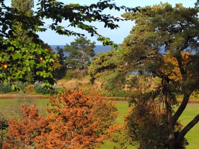 Gartenblick