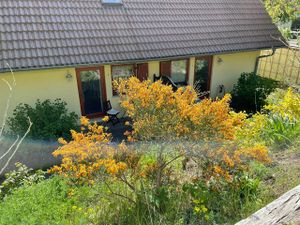 23590356-Ferienwohnung-3-Heringsdorf (Seebad)-300x225-3